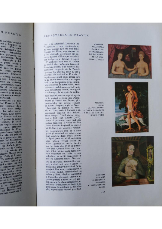 Istoria ilustrată a picturii De la arta rupestră la arta abstractă - Sorin Mărculescu